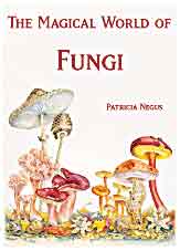 Fungus cover